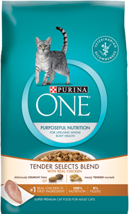 Purina One Chicken Tender Cat Food Sample